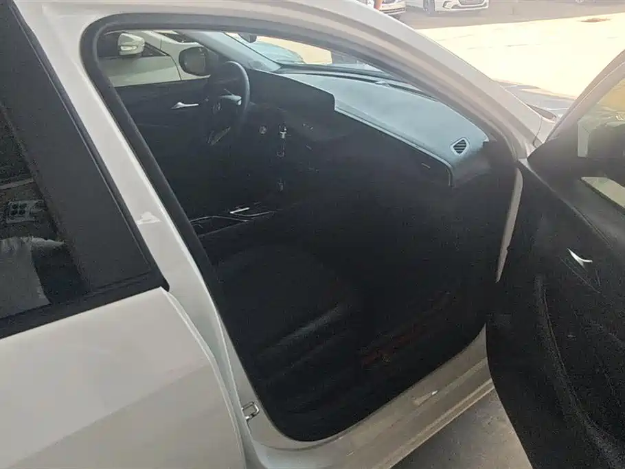 Buick Weilang