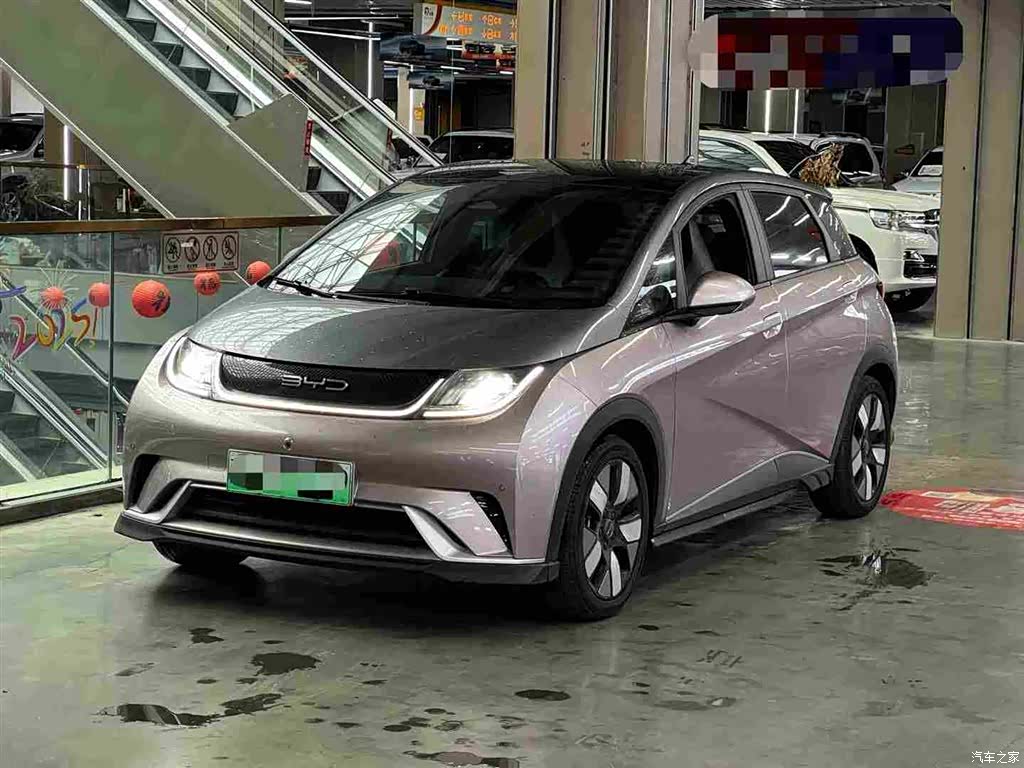 BYD Dolphin, 2024 1