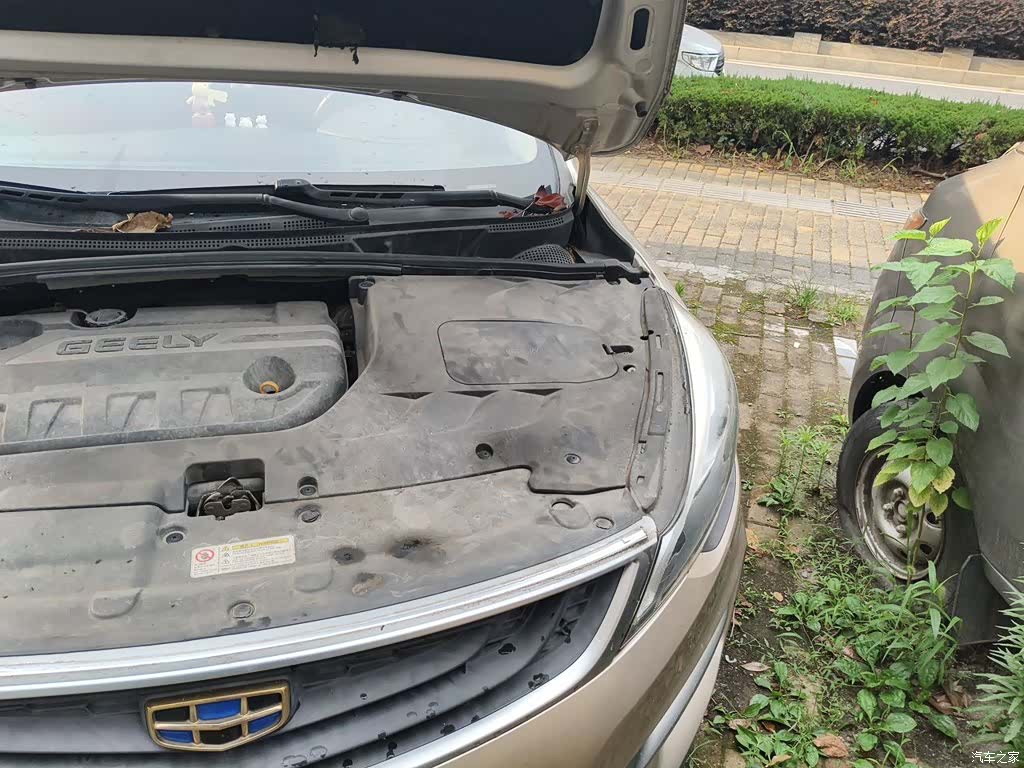 Geely Emgrand, 2018 23