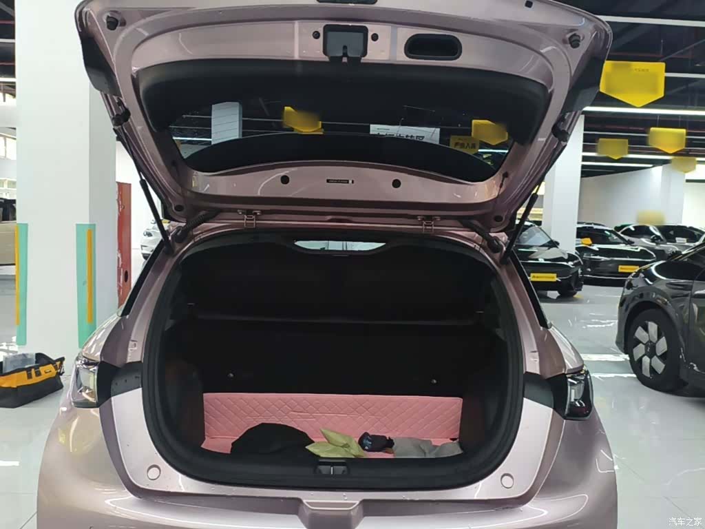 BYD Dolphin, 2024 15