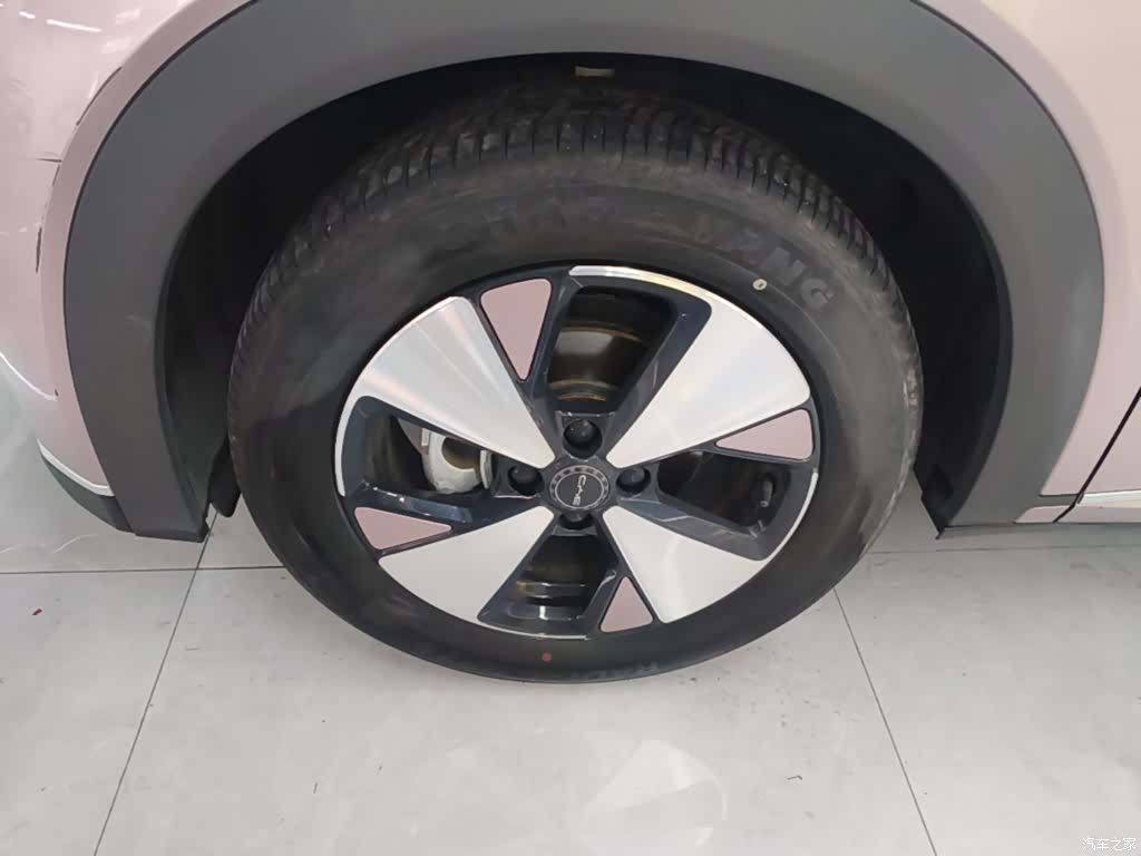 BYD Dolphin, 2024 25