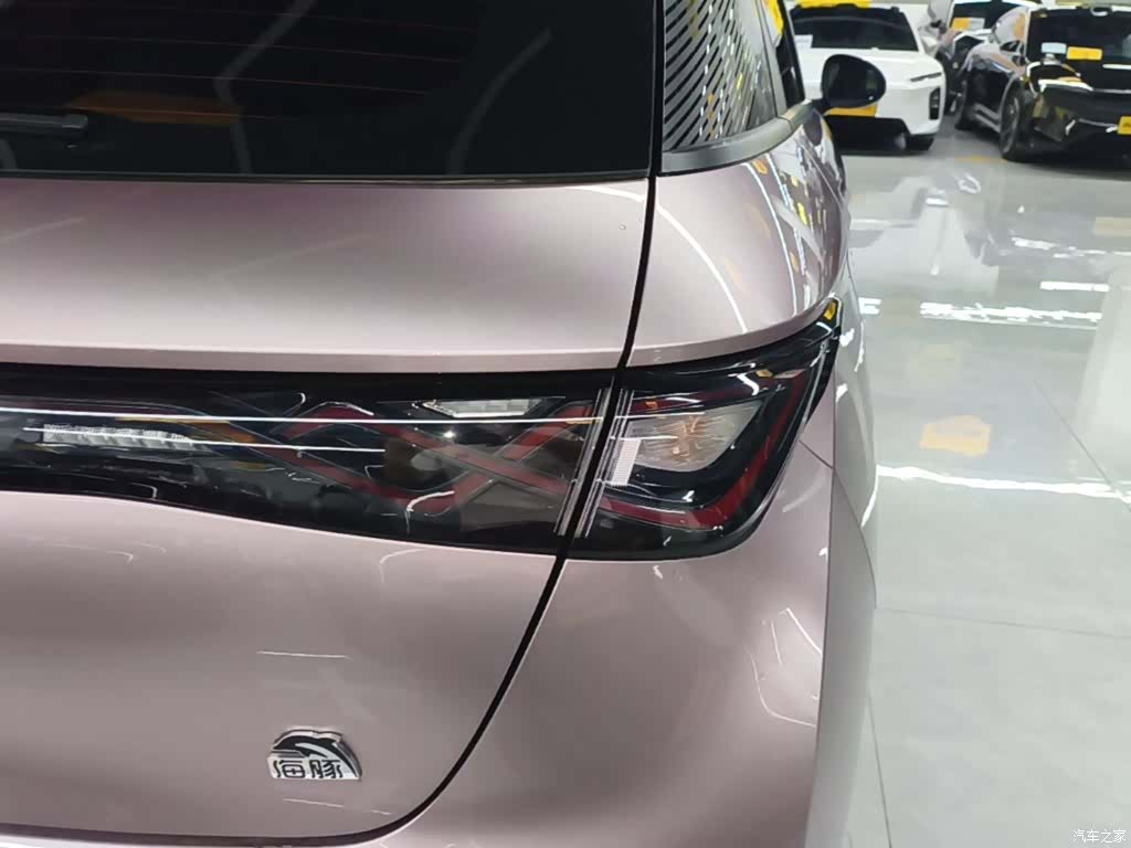 BYD Dolphin, 2024 24