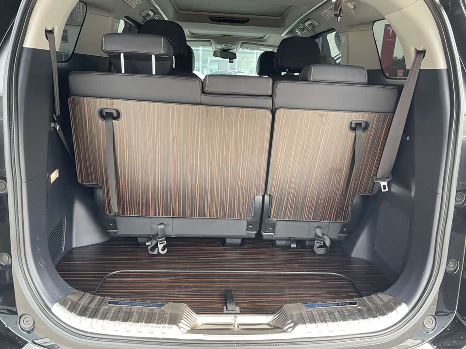 Trumpchi Trumpchi M8