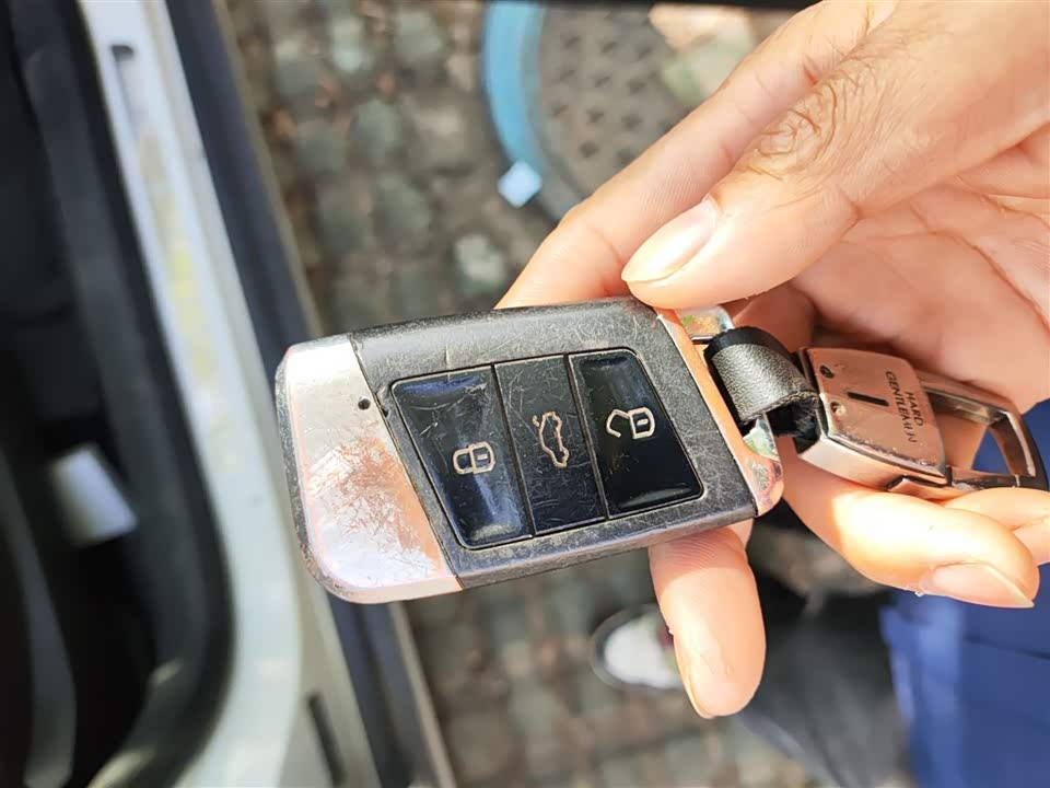 Volkswagen C-TREK Wei Collar