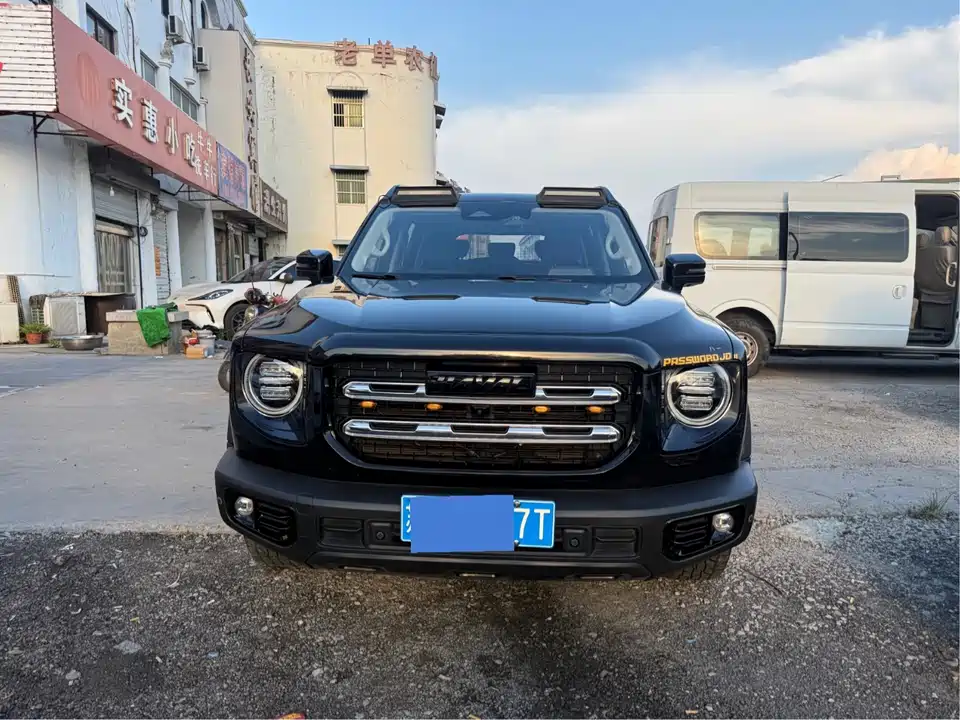 Haval Big dog
