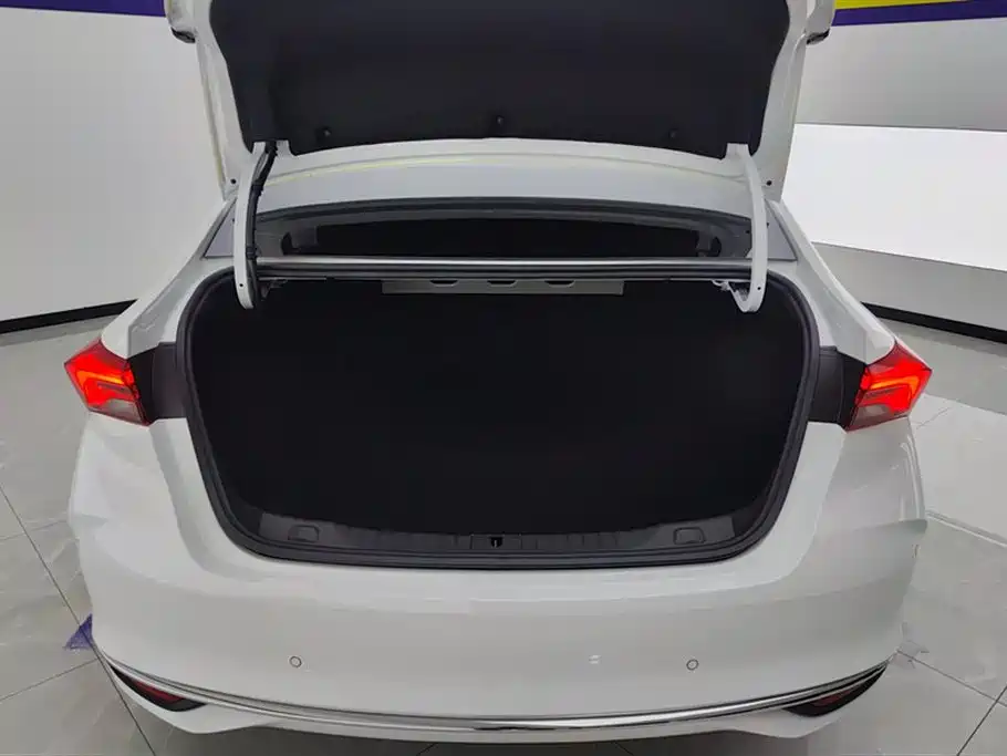 Buick Weilang