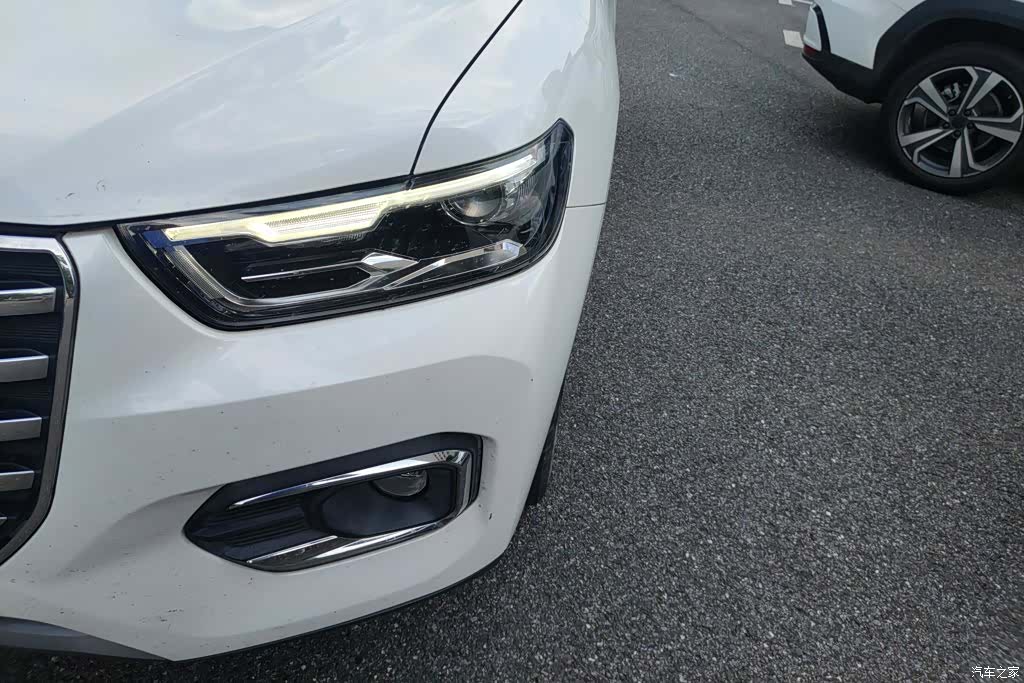 Haval H6, 2020 все фото