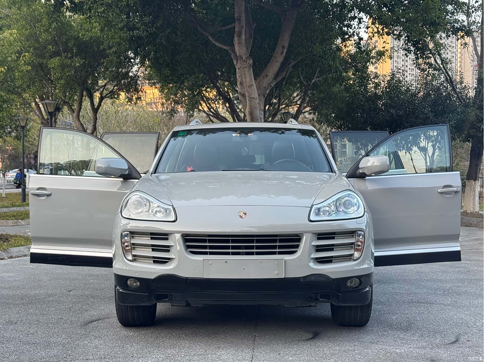 Porsche Cayenne, 2009 9