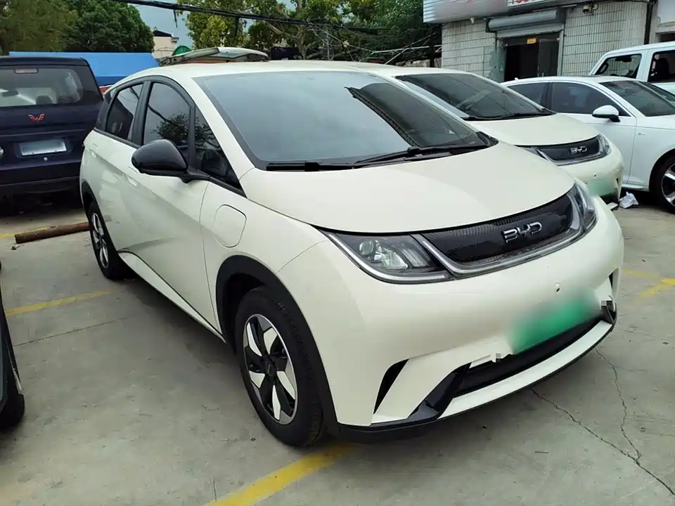 BYD dolphin
