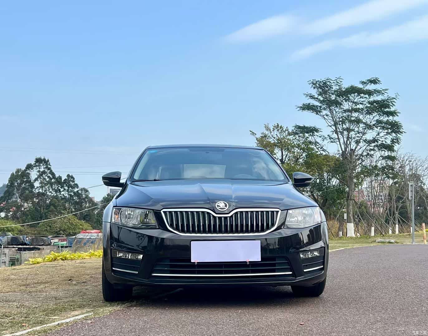Skoda Octavia, 2016 2