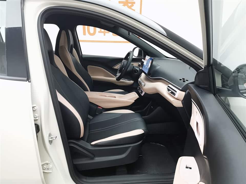 BYD Seagull