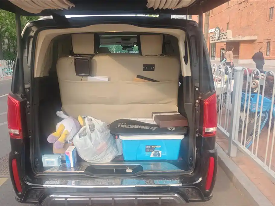 Mercedes-Benz V-class