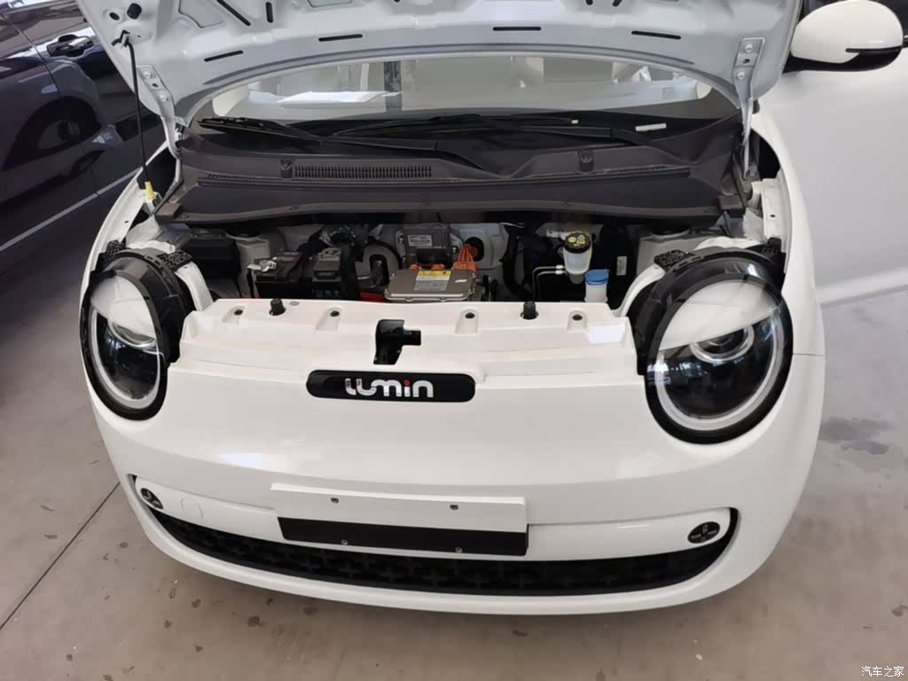 Changan Lumin, 2026 20