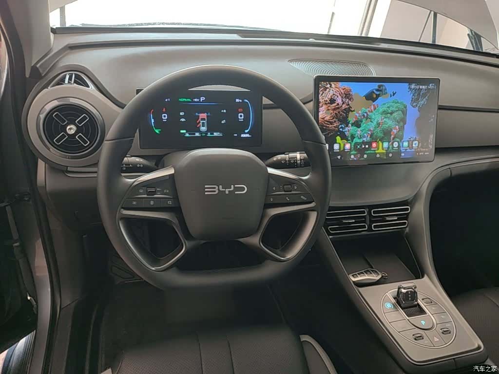 BYD HiAce, 2025 11