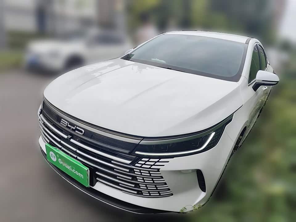 BYD Destroyer 05 BYD Destroyer 05