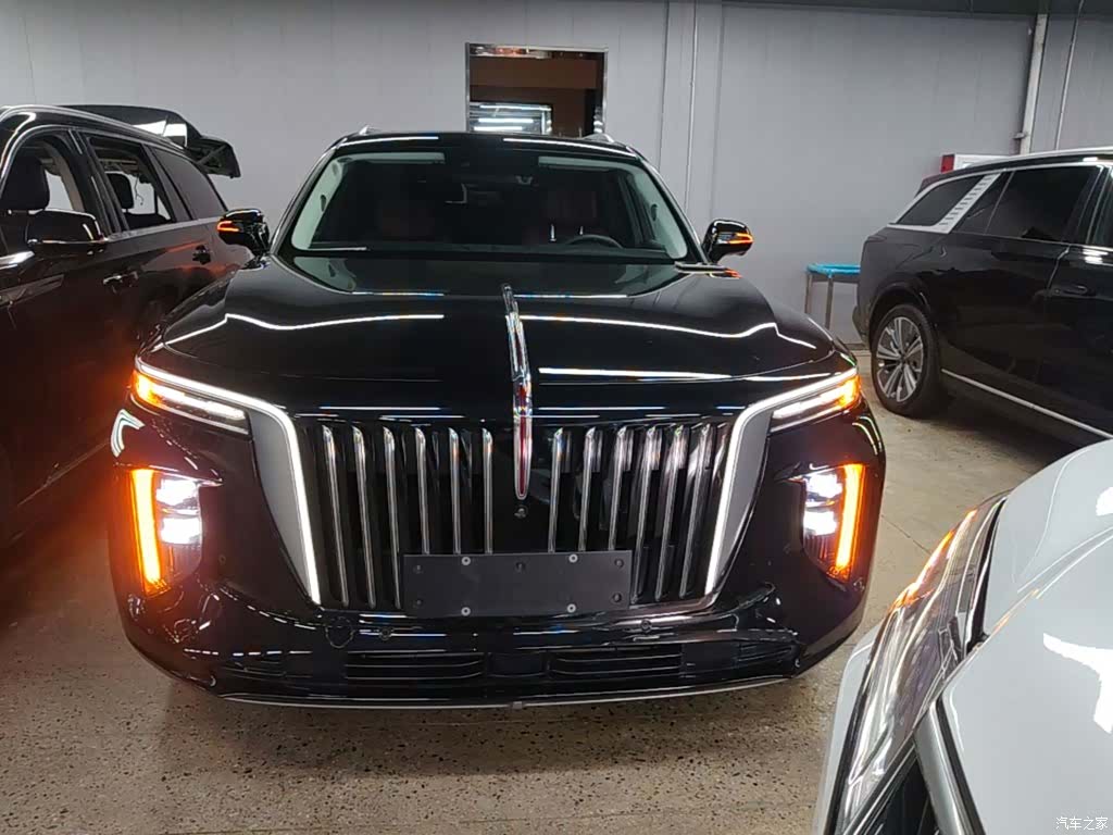 Hongqi E-HS9, 2023 3