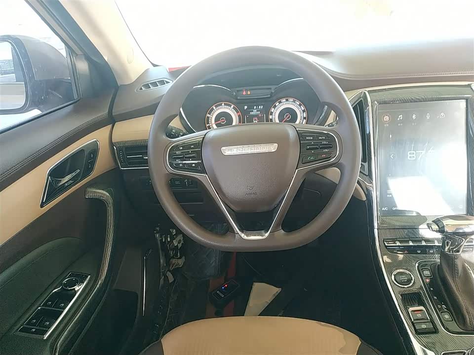 Leopaard Cheetah CS9