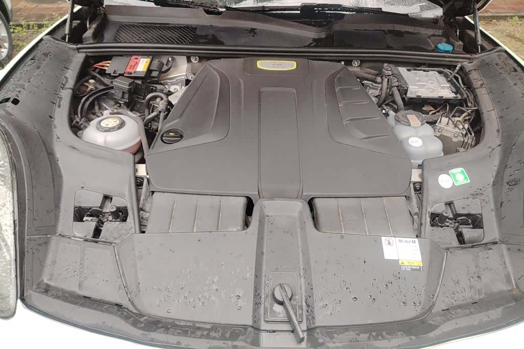 Porsche Cayenne, 2021 10