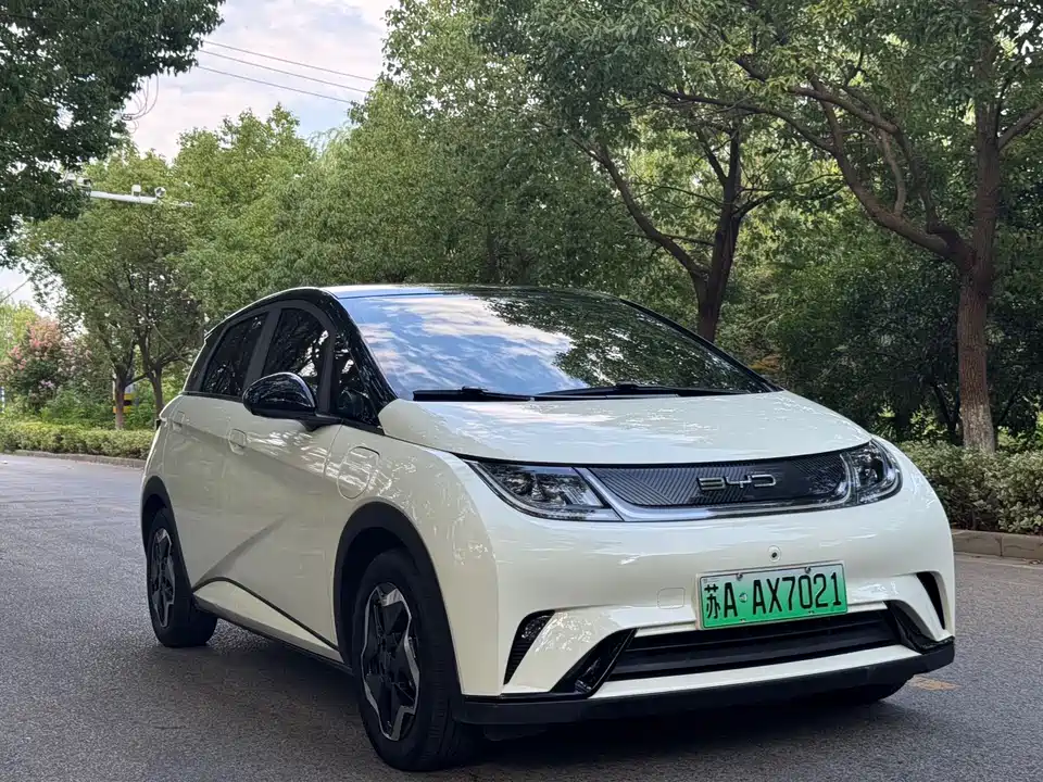 BYD dolphin