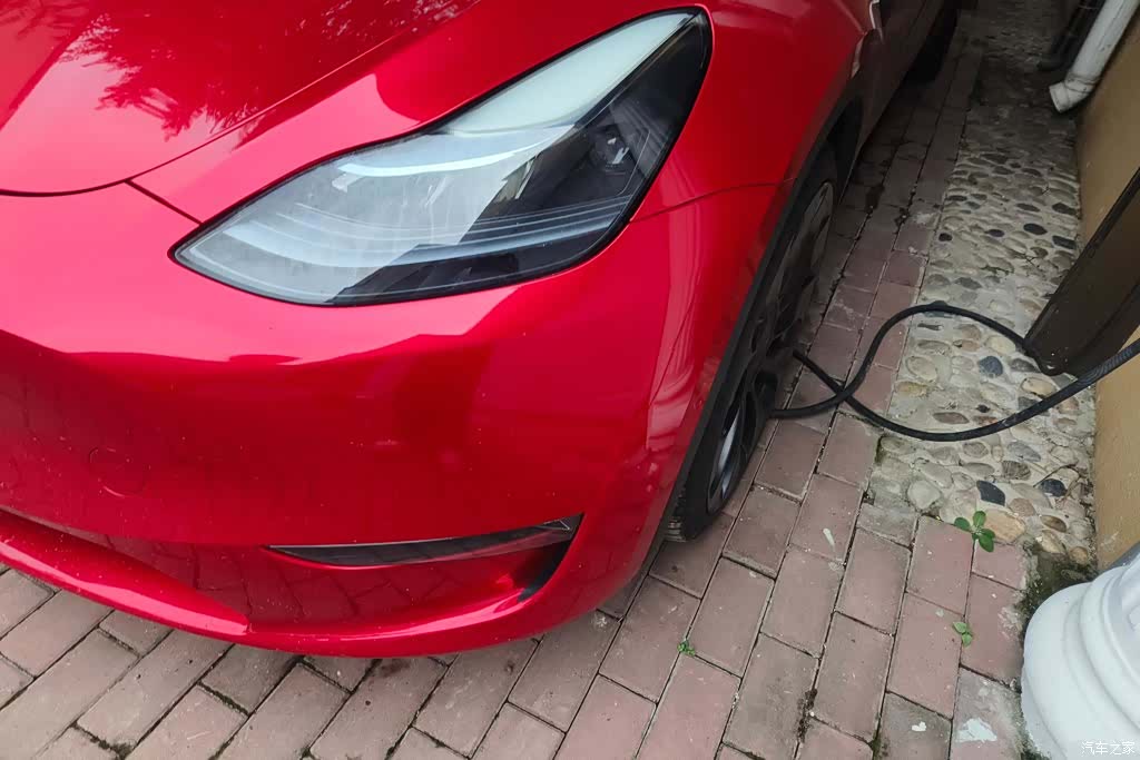 Tesla Model Y, 2023 все фото