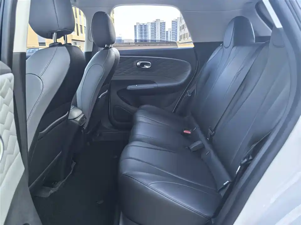 Dongfeng Nammi Nano 01