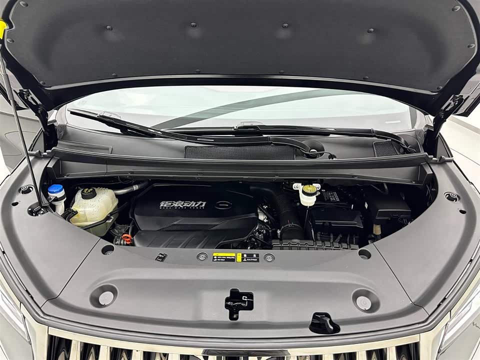 Trumpchi Trumpchi M8