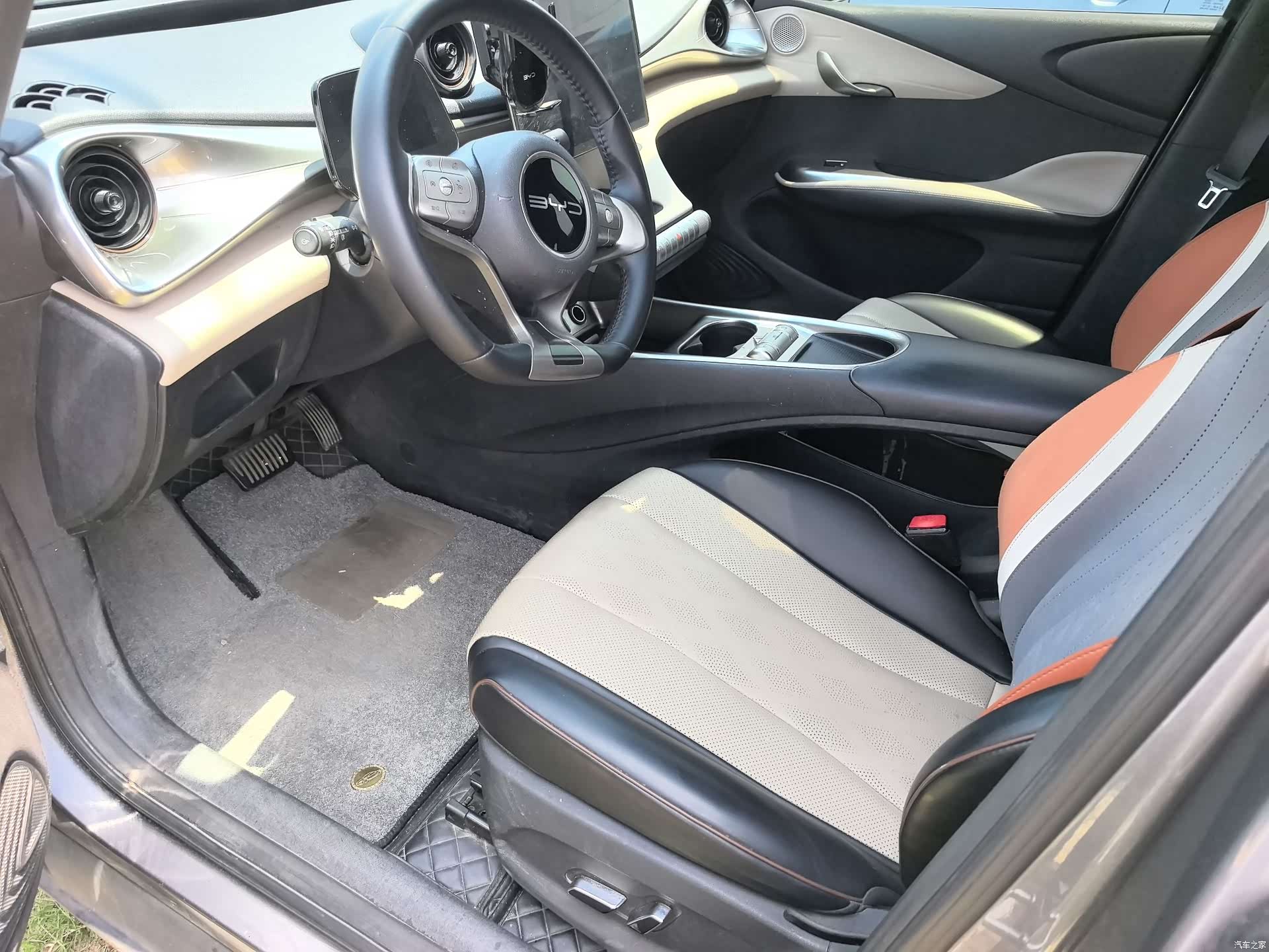BYD Dolphin, 2024 4