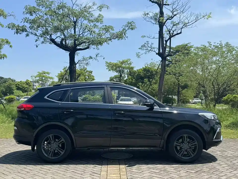 Leopaard Cheetah CS10