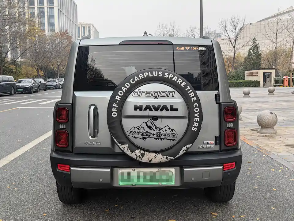 Haval Raptors