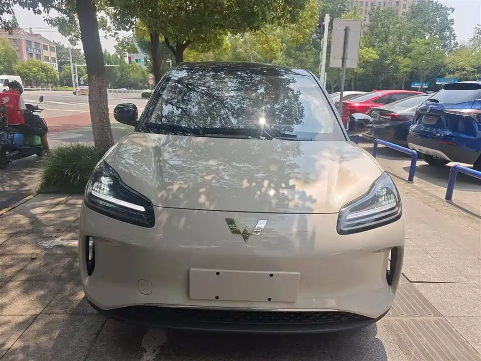 Wuling Wuling Bingguo PLUS