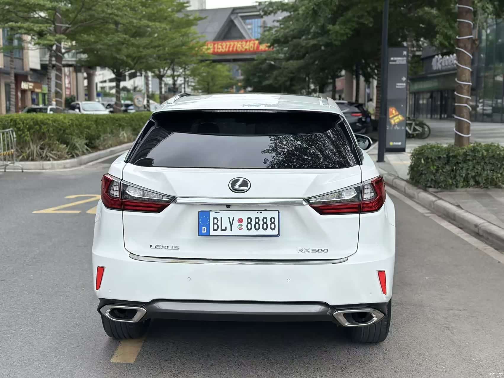 Lexus RX, 2017 10