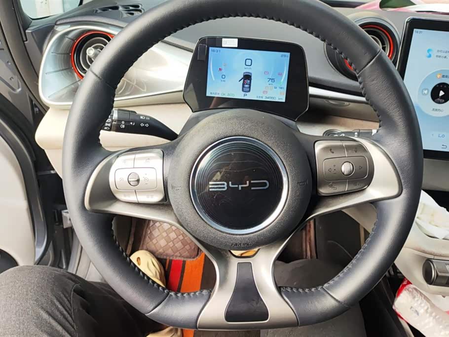 BYD dolphin