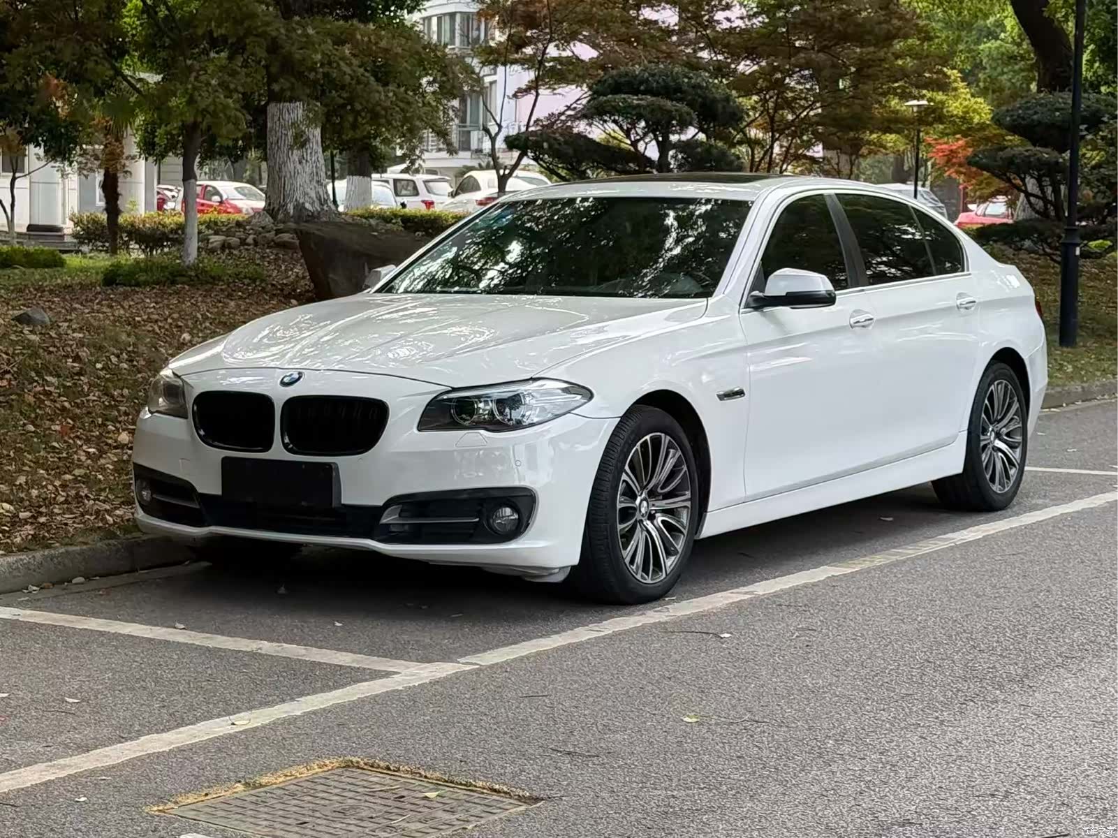 BMW 5 Series, 2015 1