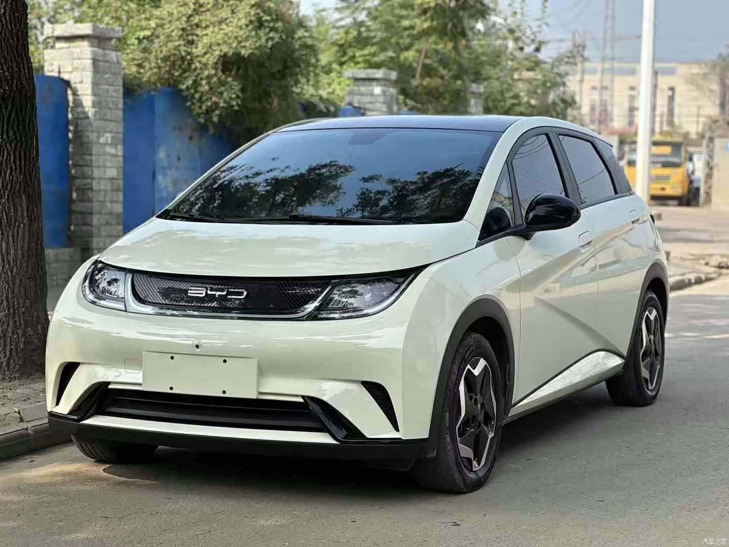 BYD Dolphin, 2022 1