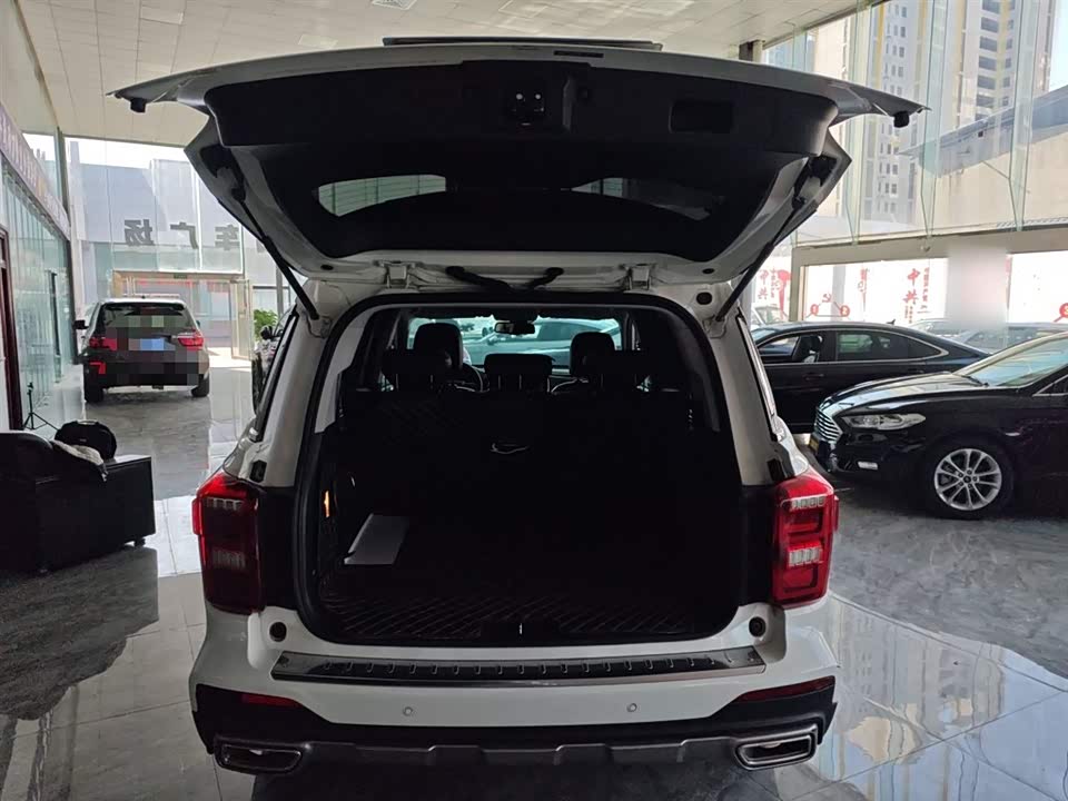 Trumpchi Trumpchi GS8