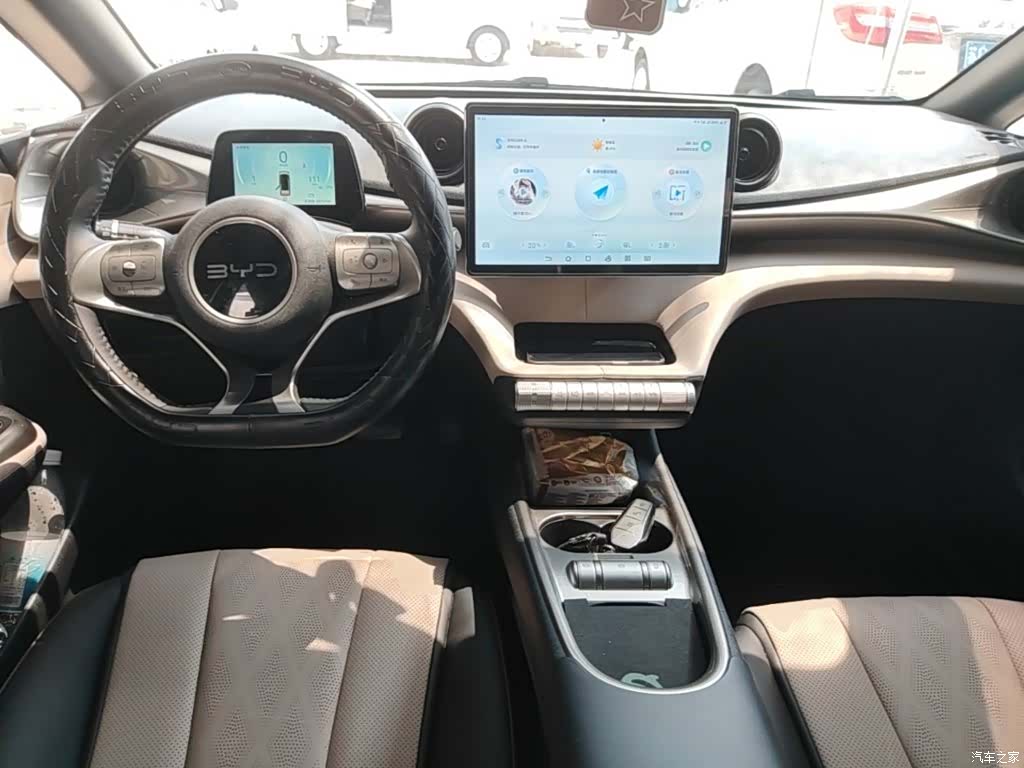 BYD Dolphin, 2026 10