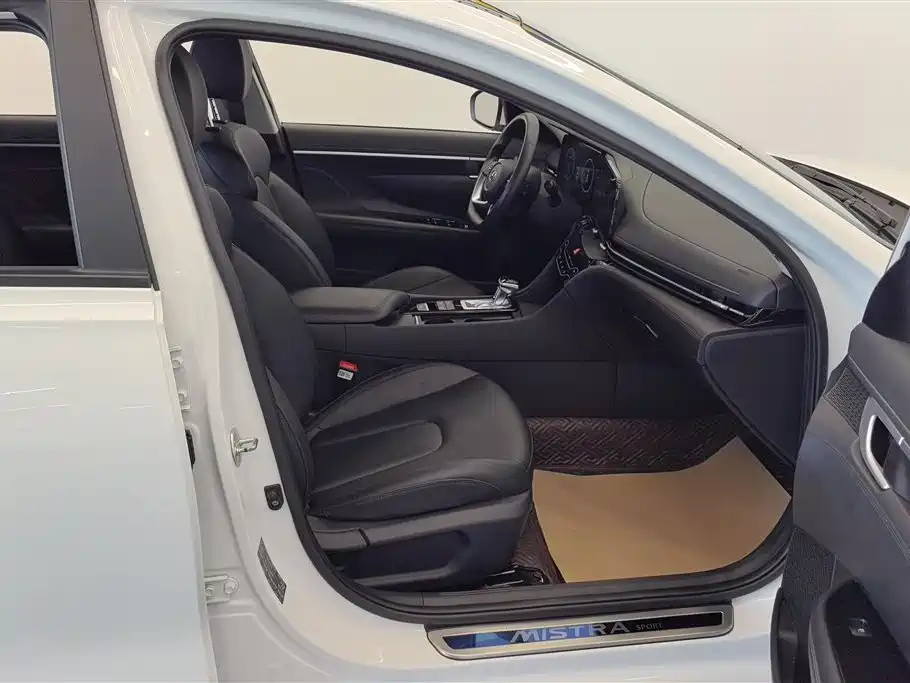 Hyundai Name picture