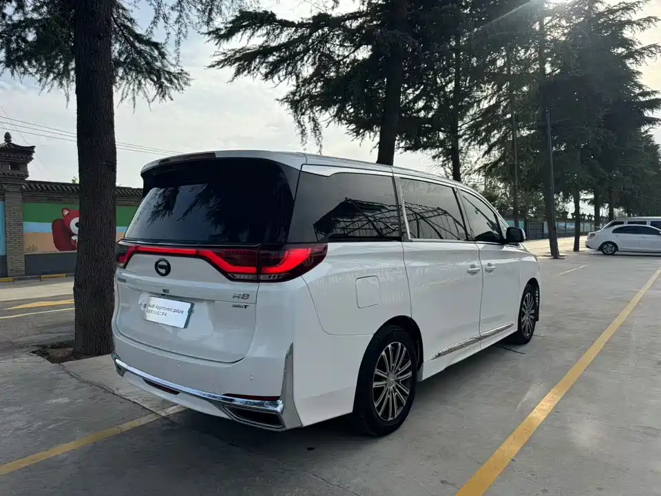 Trumpchi Trumpchi M8