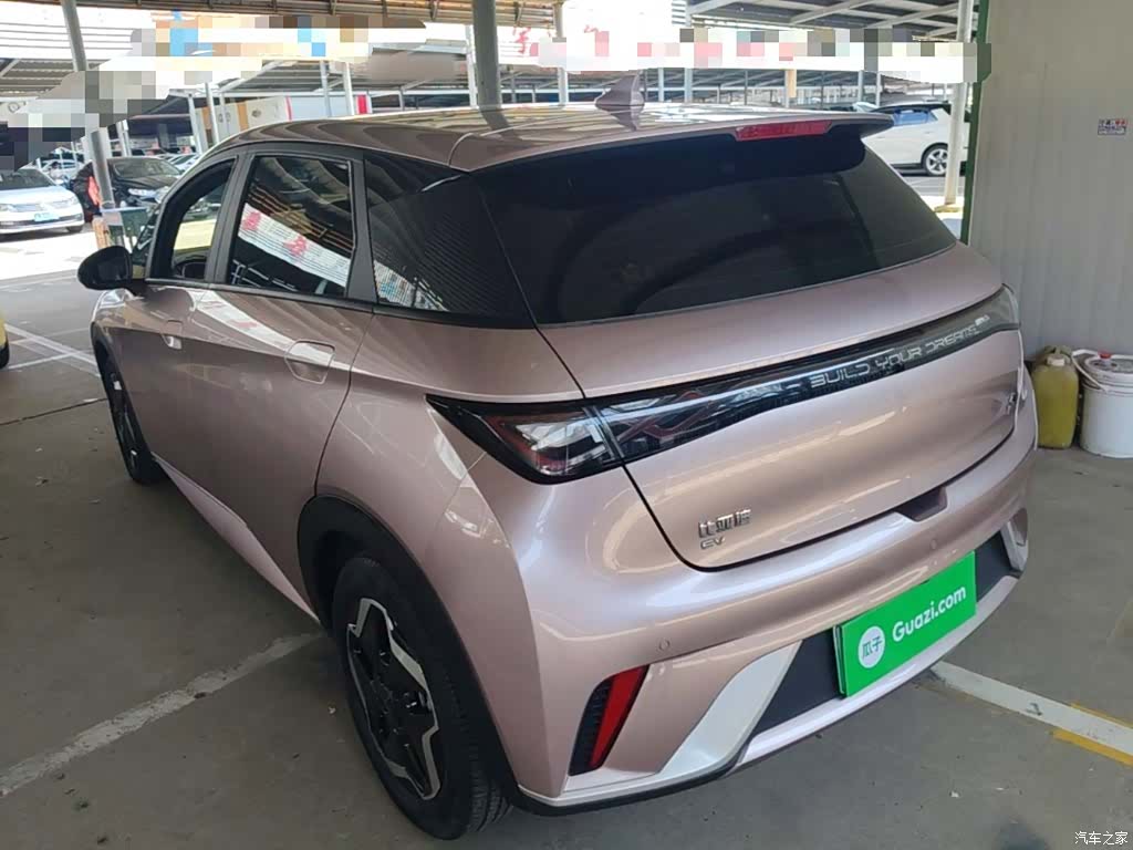 BYD Dolphin, 2022 все фото