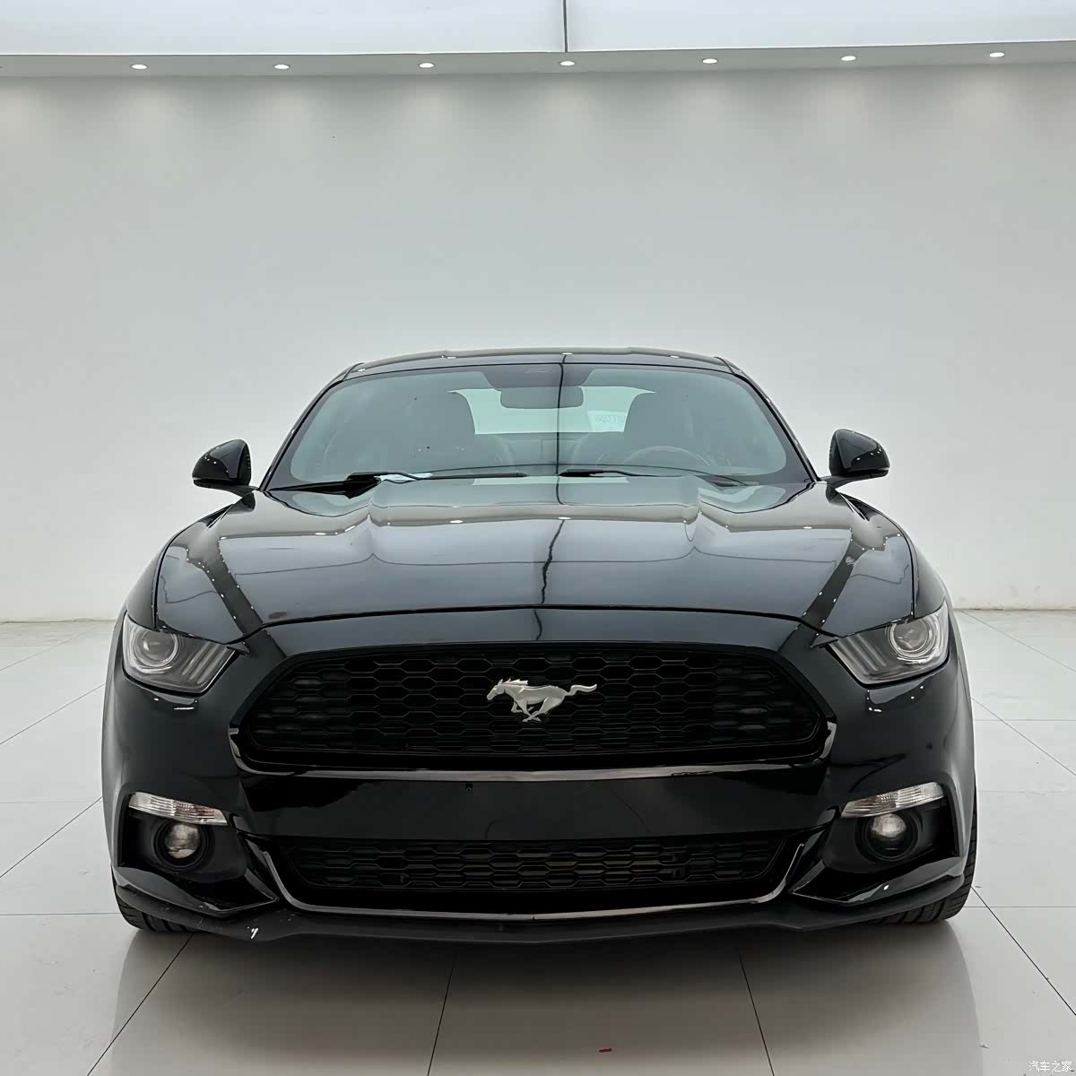 Ford Mustang, 2015 2
