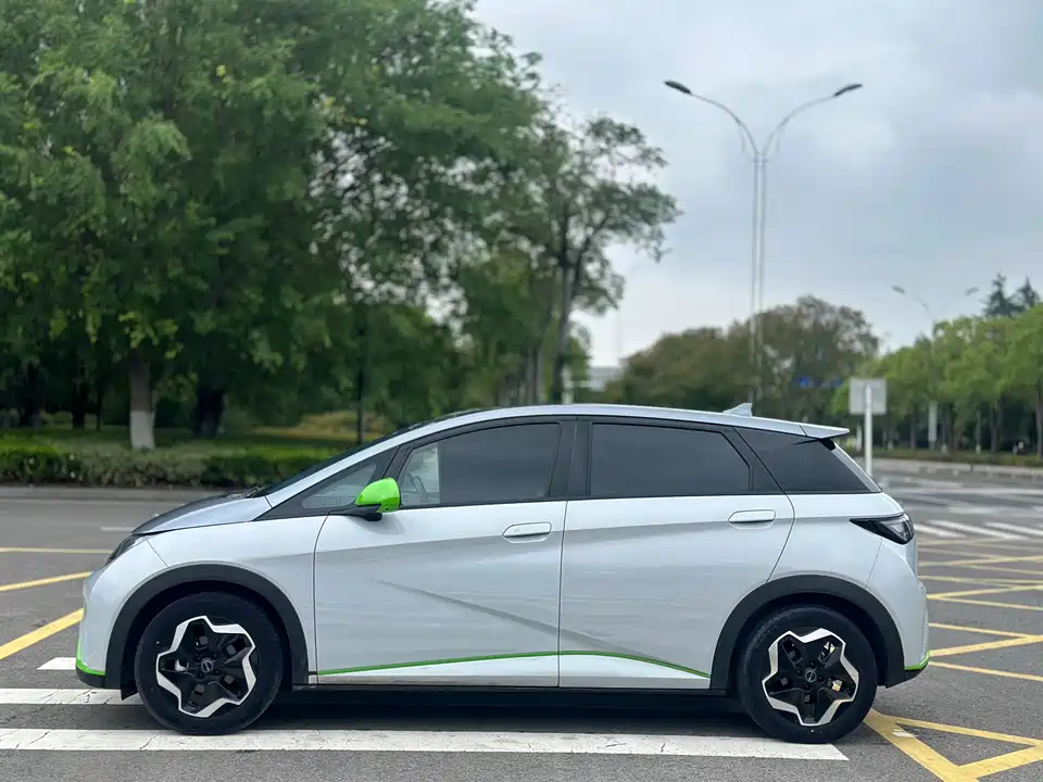BYD dolphin