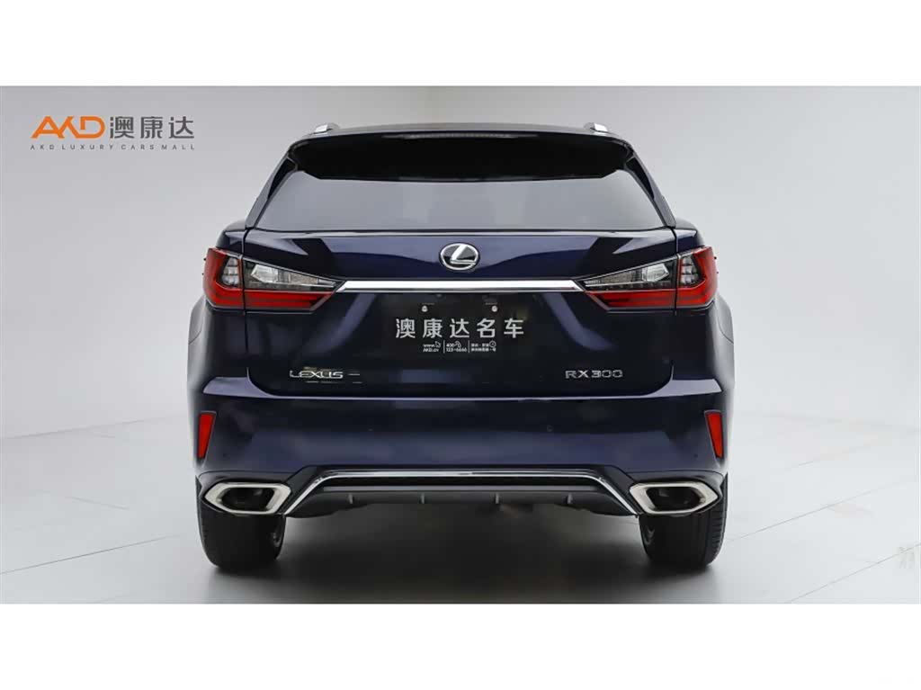 Lexus RX, 2017 4