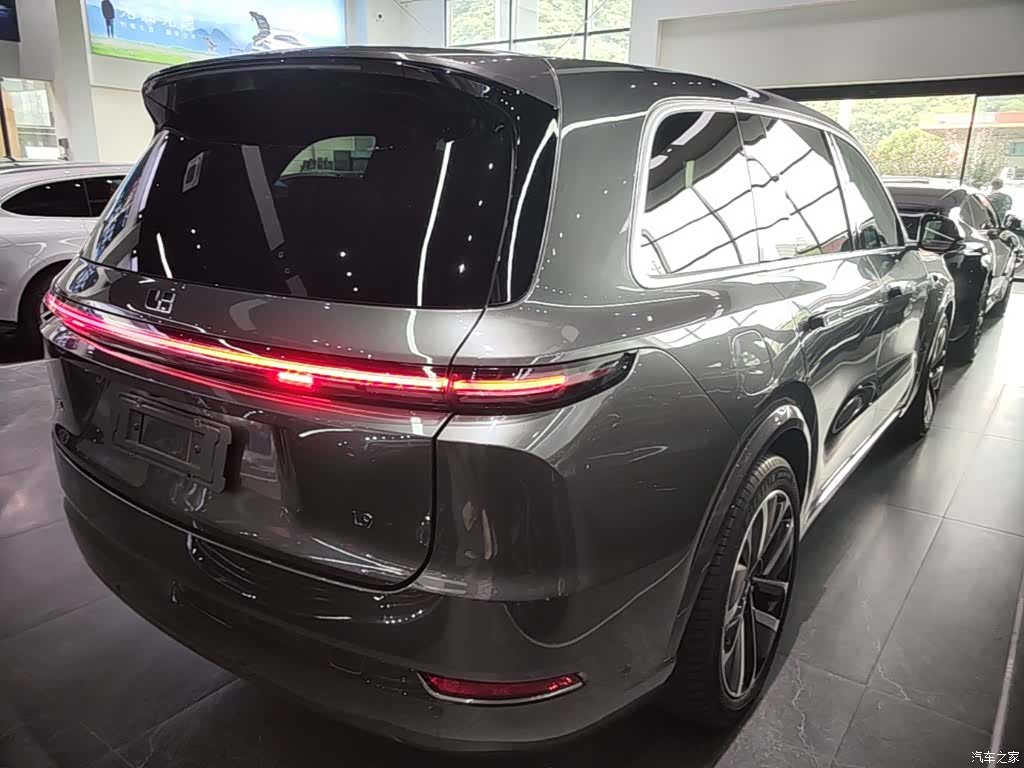 Li Auto L9, 2023 7