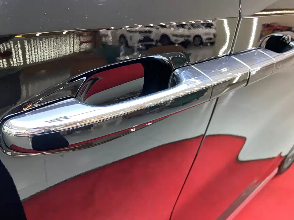 Trumpchi Trumpchi E9