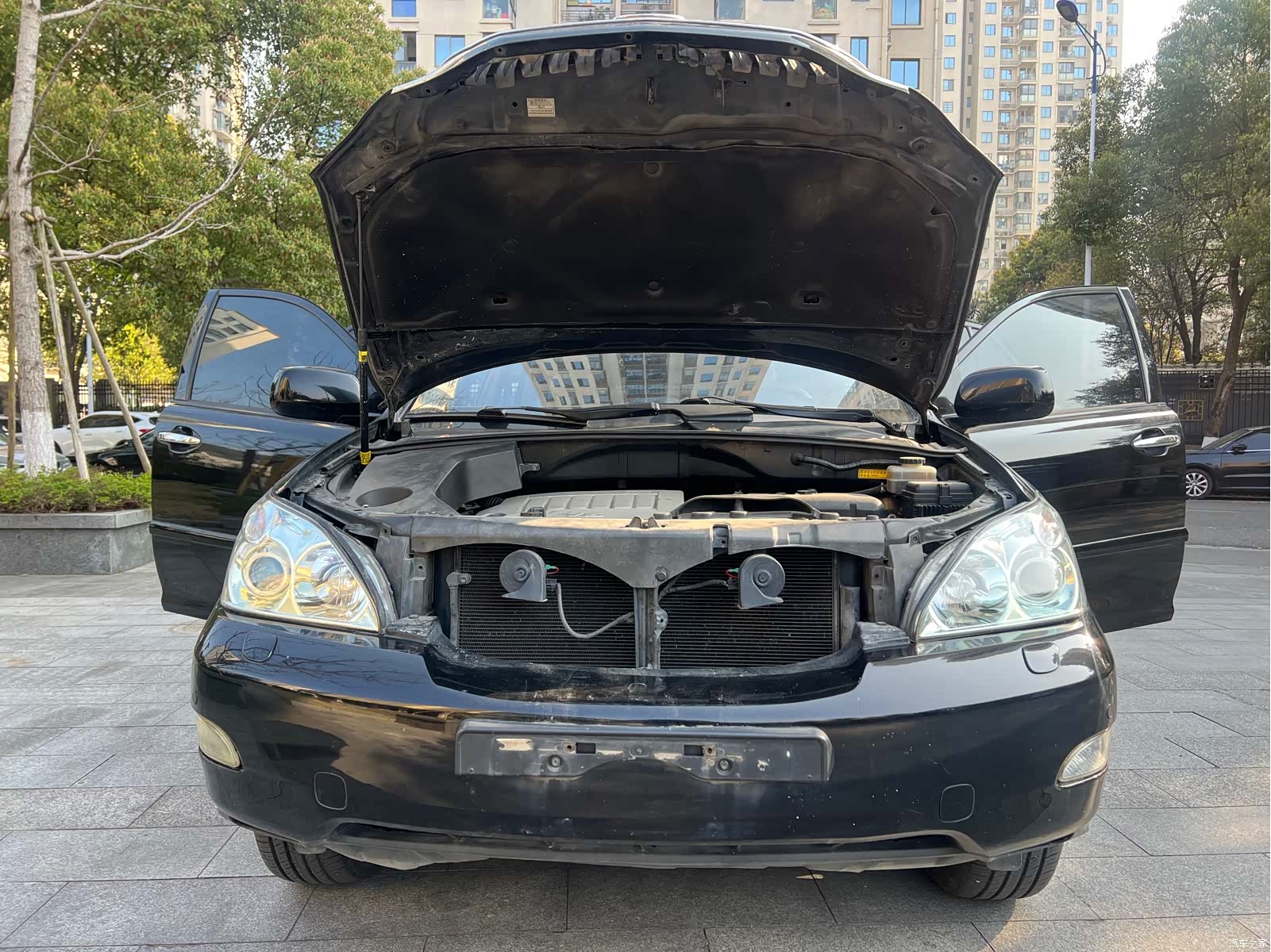 Lexus RX, 2008 15