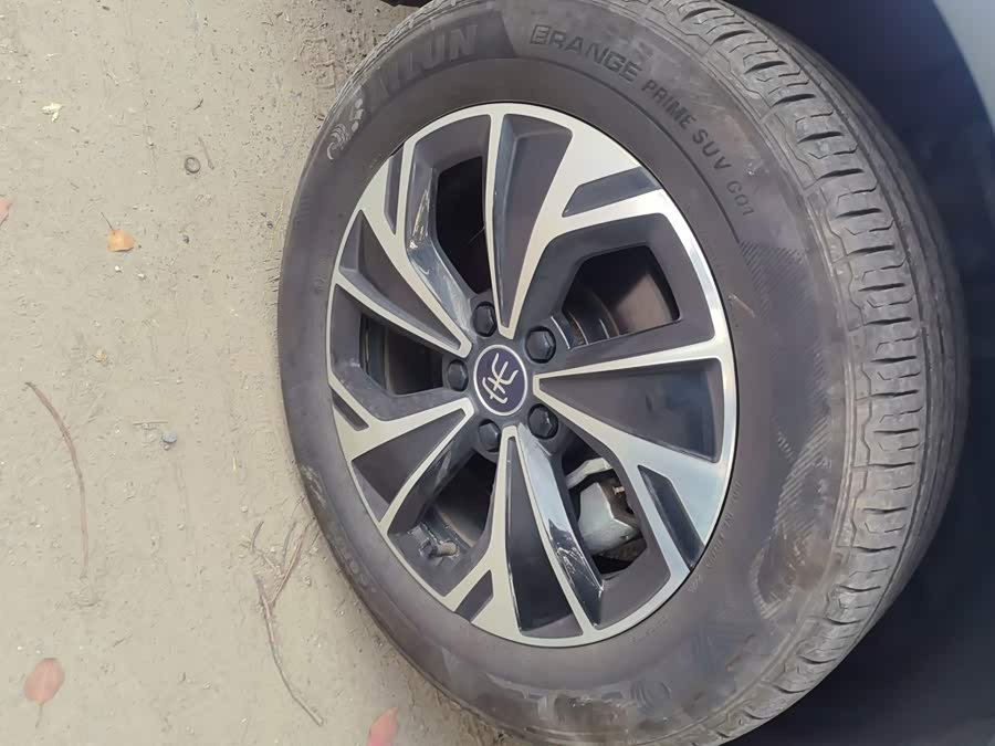 BYD Song Pro New Energy 2025, фото 8