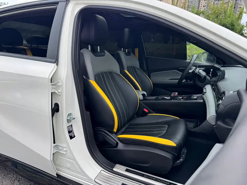 Trumpchi Shadow Leopard