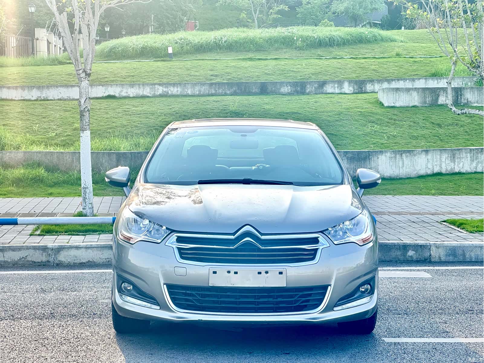 Citroen C4, 2015 2
