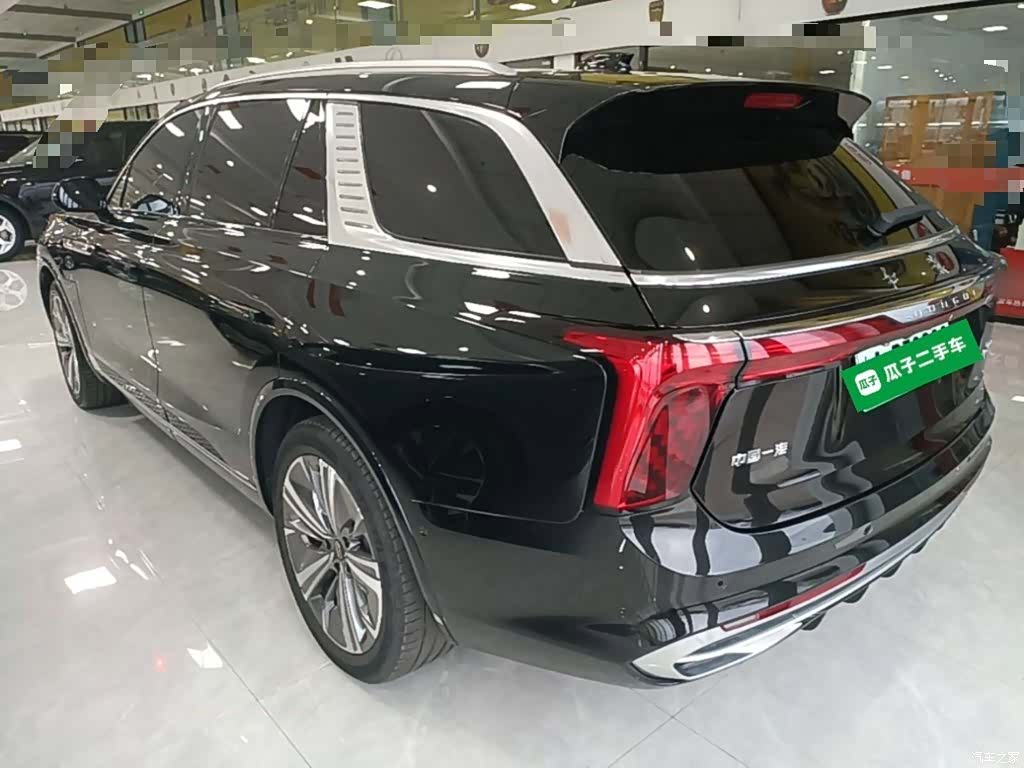 Hongqi E-HS9, 2023 все фото