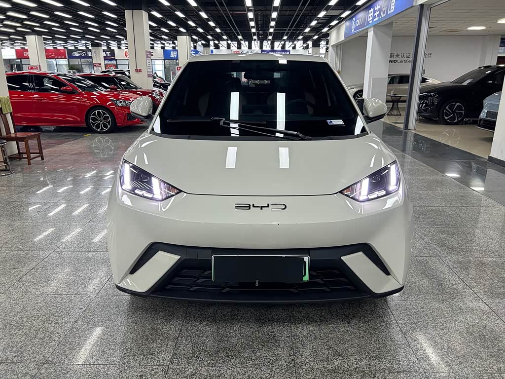 BYD Seagull